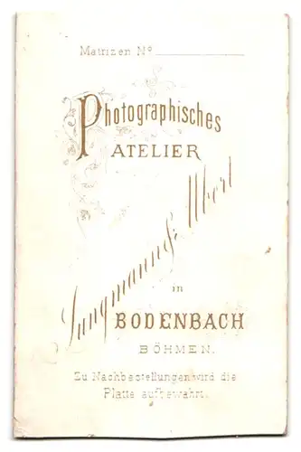 Fotografie Jungmann & Albert, Bodenbach i. Böhmen, junges Mädchen im karierten Kleid mit langem Zopf und Haarschleife