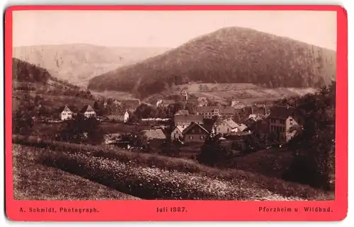Fotografie A .Schmidt, Pforzheim, Ansicht Bad Wildbad, Blick auf den Ort mit Heilanstalt