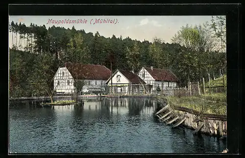 AK Naupoldsmühle /Mühltal, Uferpartie