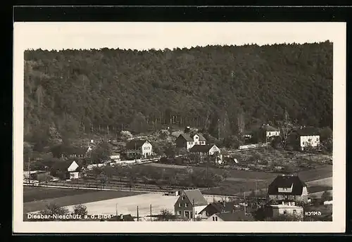 AK Diesbar-Nieschütz a. d. Elbe, Ortsansicht aus der Vogelschau