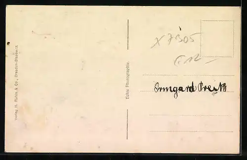 AK Waldheim, Gesamtansicht aus der Vogelschau