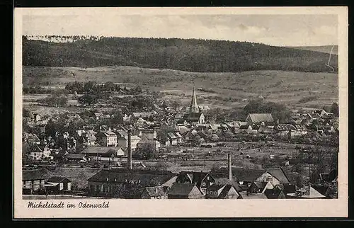 AK Michelstadt /Odenw., Teilansicht mit Umgebung