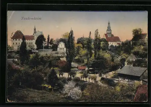 AK Taubenheim, Ortspartie mit Kirche