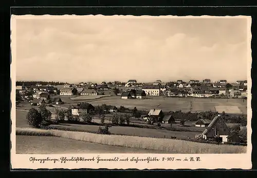 AK Zinnwald /Osterzgebirge, Teilansicht