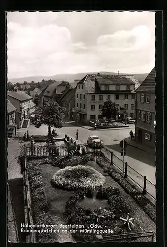 AK Beerfelden i. Odw., Brunnengärtchen an der Mümlingquelle