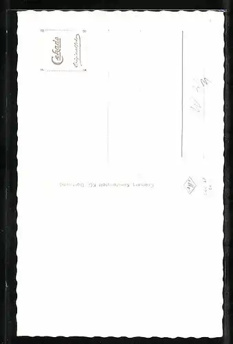 AK Beerfelden i. Odw., Brunnengärtchen an der Mümlingquelle