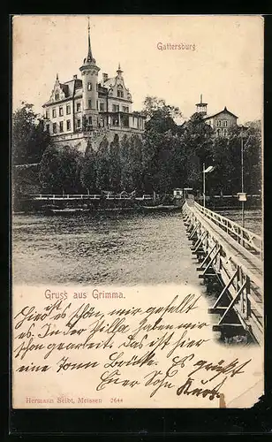 AK Grimma, Blick zur Gattersburg