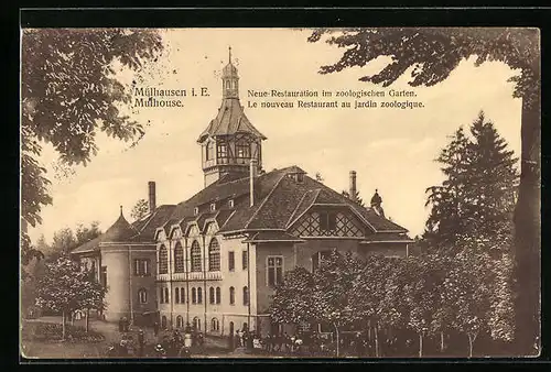 AK Mülhausen i. E., Neue Restauration im Zoologischen Garten