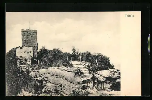 AK Trifels, Panorama