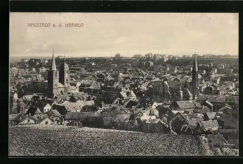 AK Neustadt a. d. Haardt, Panorama