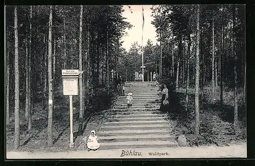 AK Bühlau, Spaziergänger im Waldpark