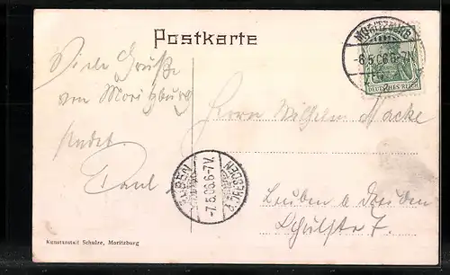 AK Moritzburg, Schloss, Wildschweine zur Fütterung