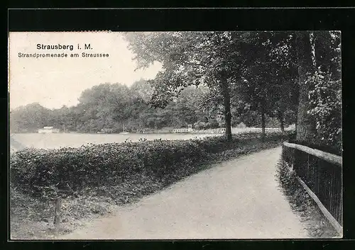 AK Strausberg / Mark, Strandpromenade am Straussee