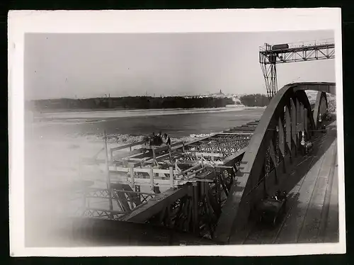 Fotografie Ansicht Wien-Floridsdorf, Brückenbau Kaiser Franz Joseph Brücke, provisorische Krananlage auf Holzgerüst