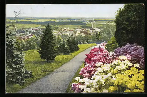 AK Kamenz, Blick vom Hutberg auf Kamenz, Azaleen-Anlagen
