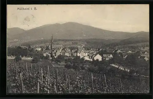 AK Müllheim i. B., Ortspartie vom Fled aus gesehen