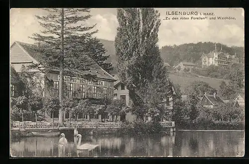 AK Ilsenburg i. Harz, Zu den roten Forellen und Wladhöhe