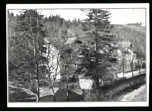 AK Schellerhau bei Kipsdorf /Erzgeb., Margarethe-Cronau-Heim