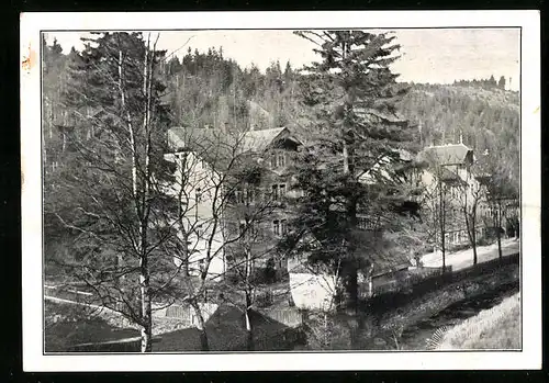 AK Schellerhau bei Kipsdorf /Erzgeb., Margarethe-Cronau-Heim des VDA