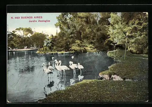 AK Buenos Aires, Jardin Zoologico