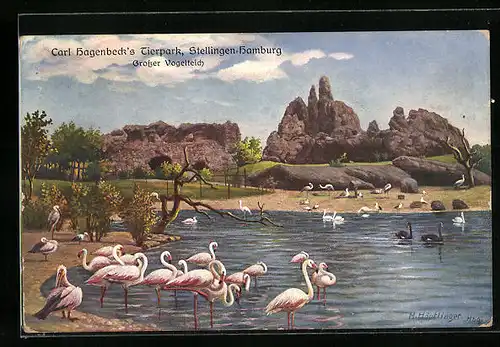 AK Hamburg-Stellingen, Grosser Vogelteich in Hagenbecks Tierpark