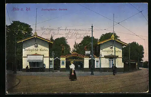 AK Köln a. Rh., Eingang zum Zoologischen Garten mit Strasse