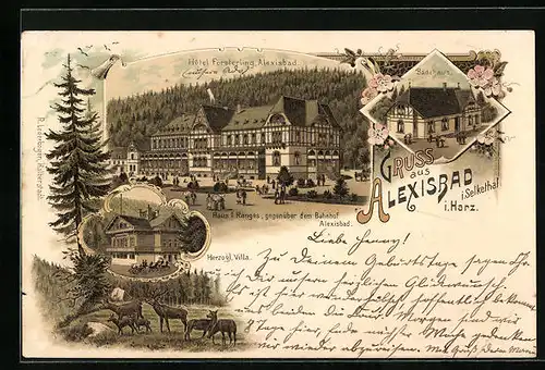 Lithographie Selkethal /Harz, Hotel Försterling in Alexisbad, Herzogliche Villa