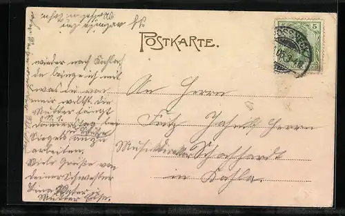 Passepartout-AK Neustadt /Orla, Stadtpanorama und Bismarckstrasse