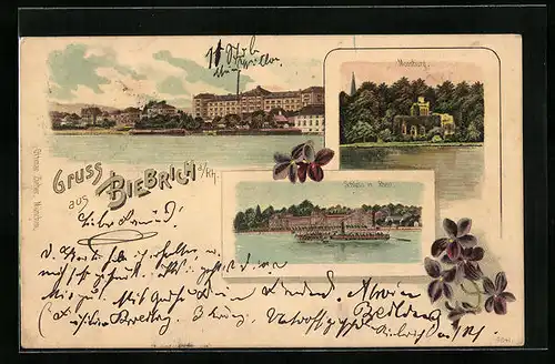 Lithographie Biebrich a. Rh., Uferpartie, Schloss mit Rhein, Moosburg