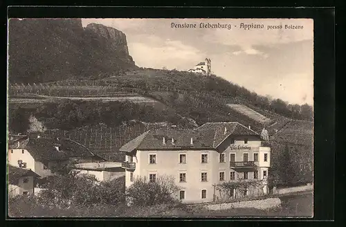 AK Appiano, Pensione Liebenburg aus der Vogelschau