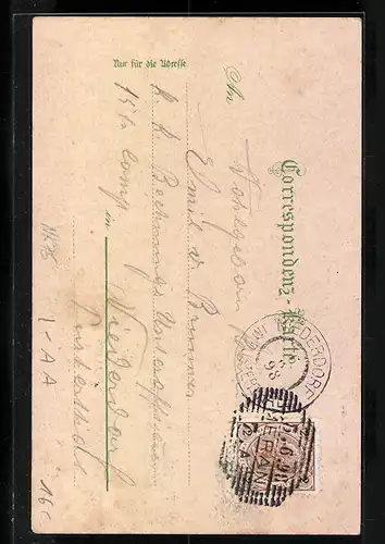 Lithographie Meran, Totalansicht mit Kurhaus und Promenade