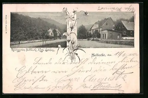 AK Selbecke, Cafe-Restaurant Rosengarten, Ortspartie