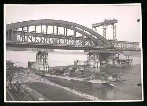 Fotografie Ansicht Wien-Floridsdorf, Brückenbau Kaiser Franz Joseph Brücke, Ponton bringt Teile für Hilfspfeiler