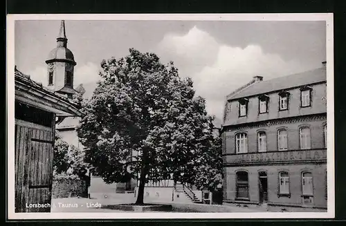 AK Lorsbach i. Taunus, Gasthaus Lorsbacher-Thal mit Linde