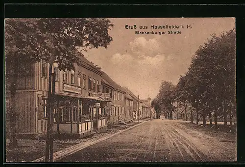 AK Hasselfelde i. H., Hotel zum Deutschen Kaiser in der Blankenburger Strasse