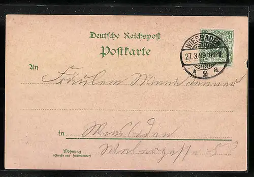 Lithographie Wiesbaden, Denkmal Wilhelm I., Ringkirche, Denkmal Bodenstedt, Totalansicht