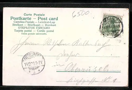 Lithographie Mainz, Totalansicht von der Rheinseite mit Salondampfern