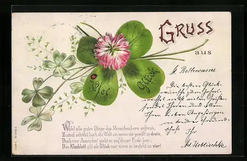 Lithographie Kleeblatt mit Blüte