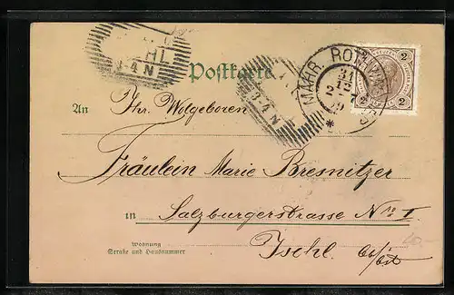 Lithographie Kleeblatt mit Blüte