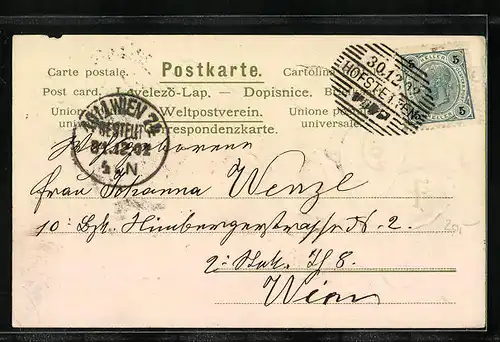 Präge-AK Prosit Neujahr 1903 mit Kleeblatt-Motiv