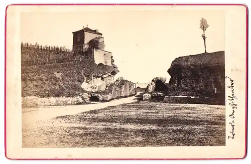 Fotografie unbekannter Fotograf, Ansicht Trier, Blick auf die Ruinen des Amphietheaters