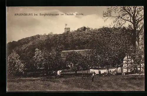 AK Borgholzhausen /Teutob. W., Blick zur Ravensburg