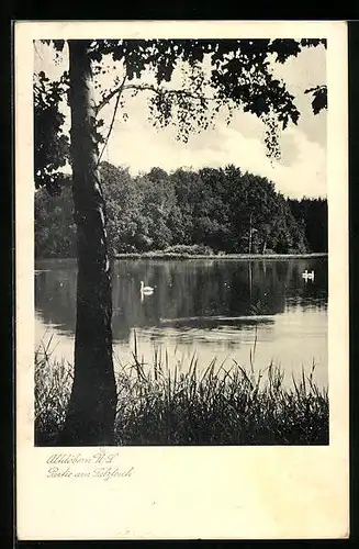 AK Altdöbern, Partie am Salzteich