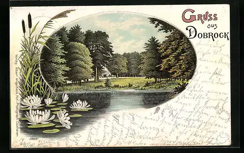 Lithographie Dobrock, Partie am See mit Seerosen