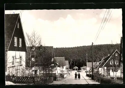 AK Schulenberg im Oberharz, Strasse Birkenweg mit Anwohnern