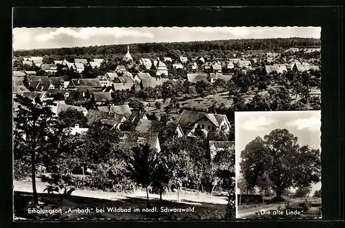 AK Arnbach bei Wildbad /Schwarzwald, Teilansicht, Die alte Linde