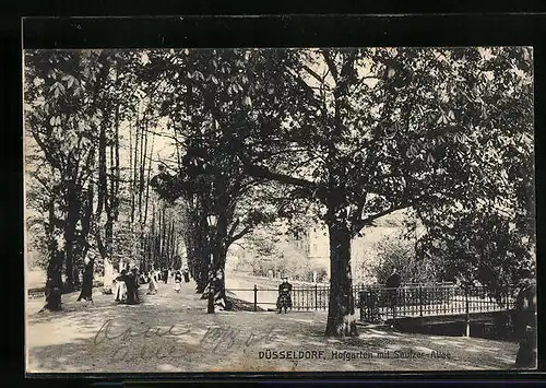 AK Düsseldorf, Hofgarten mit Seufzer-Allee