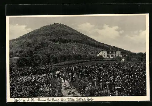 AK Rhodt /Weinstrasse, Ruine Rintburg, Villaa Ludwigshöhe