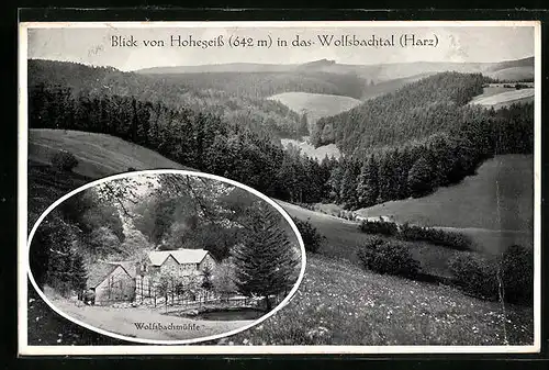 AK Hohegeiss, Blick in das Wolfsbachtal, Wolfsbachmühle
