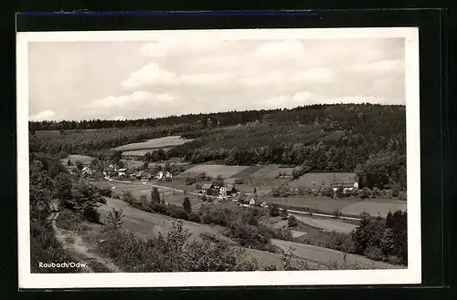 AK Raubach /Odenwald, inmitten herrlicher Wälder